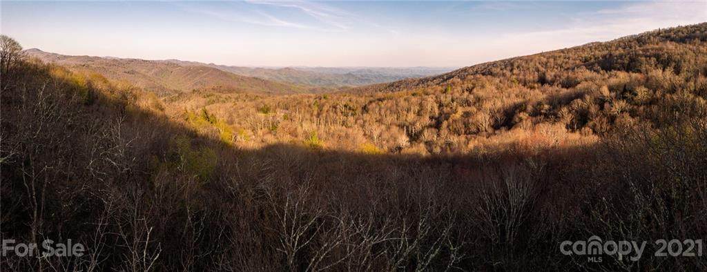 TRACT 1, TRACT 2, TR Black Bear Trail - Photo 1