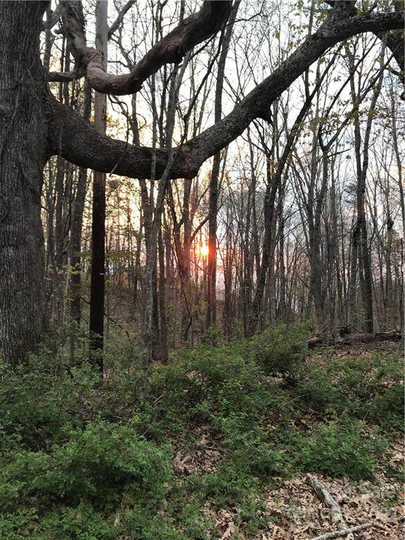 00204 Smokey Ridge Loop - Photo 1
