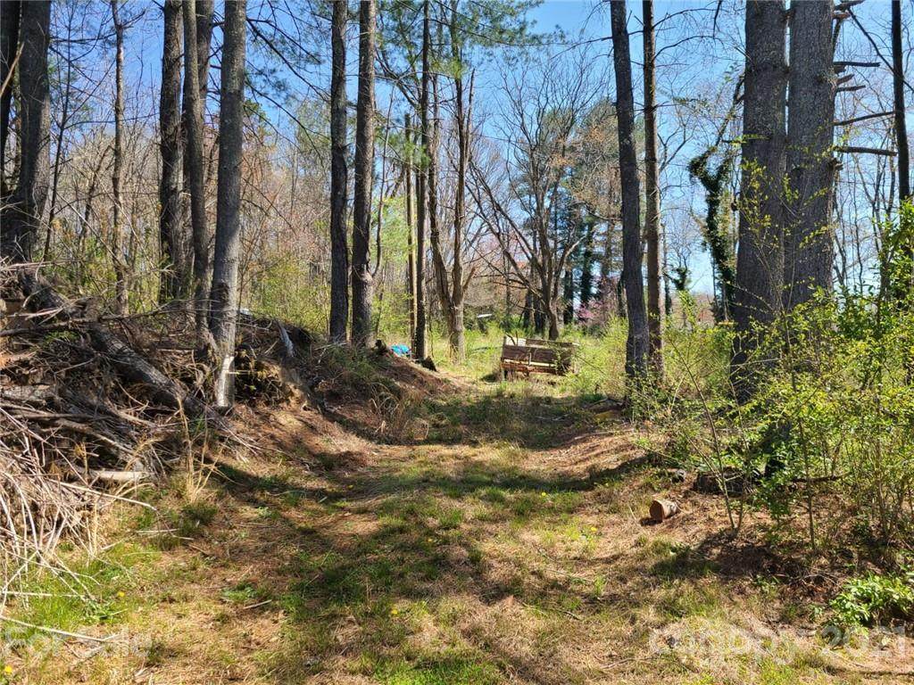 999999 Bear Creek Road - Photo 1