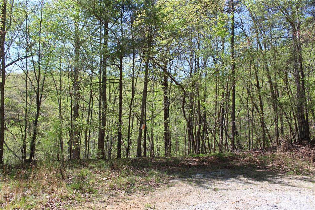 Lot 363 Hawks Court - Photo 1