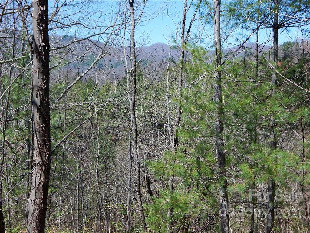 00 Blueberry Drive - Photo 1