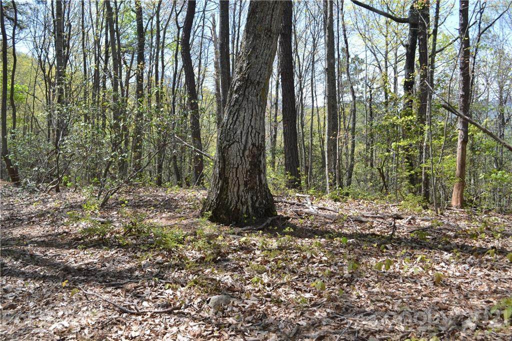 999 Davis Creek Road - Photo 1