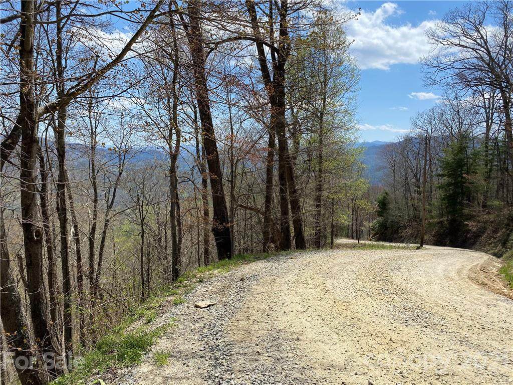 Lot 2 Hurricane Ridge Trace - Photo 1