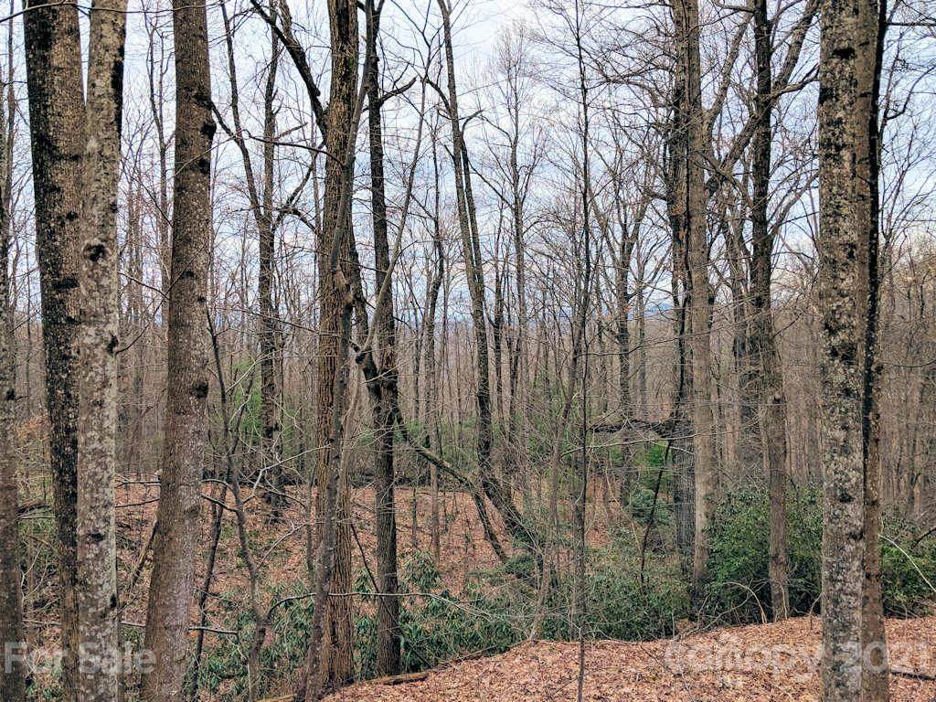 00 Melrose Mountain Road - Photo 1