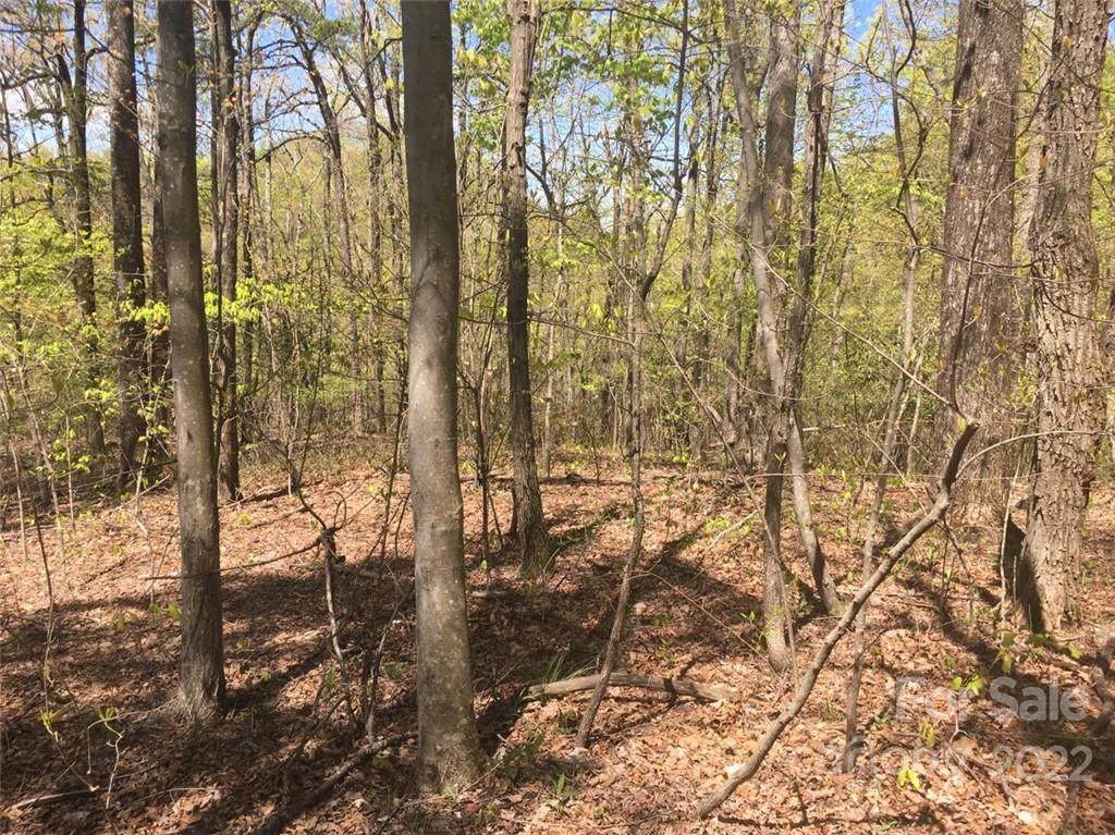 0 Pinnacle Parkway - Photo 1