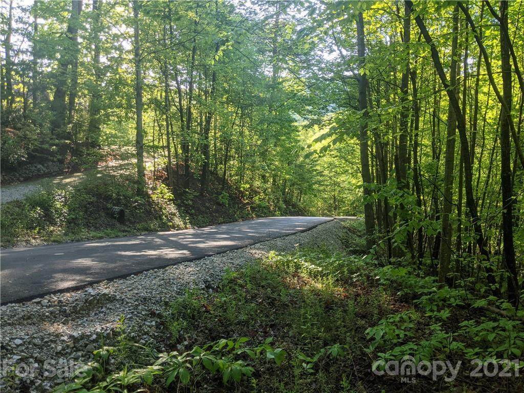 TBD Wild Cherry Lane - Photo 1