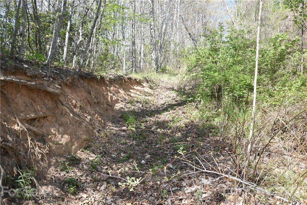 0000 Thumper Trail - Photo 1