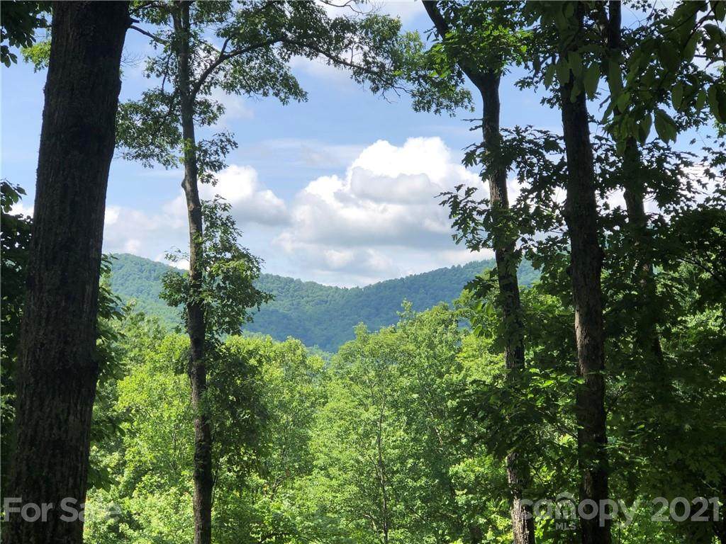 72 Smokey Ridge Trail - Photo 1
