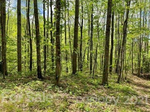 1362 Preserve Road - Photo 1
