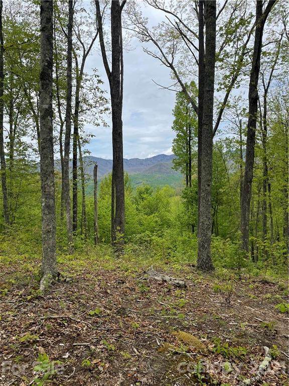 235 Down The Hill Road - Photo 1