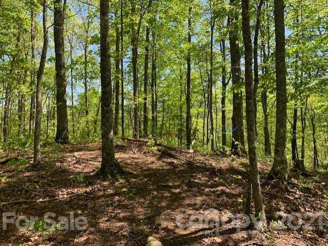0 Smoky View Drive - Photo 1