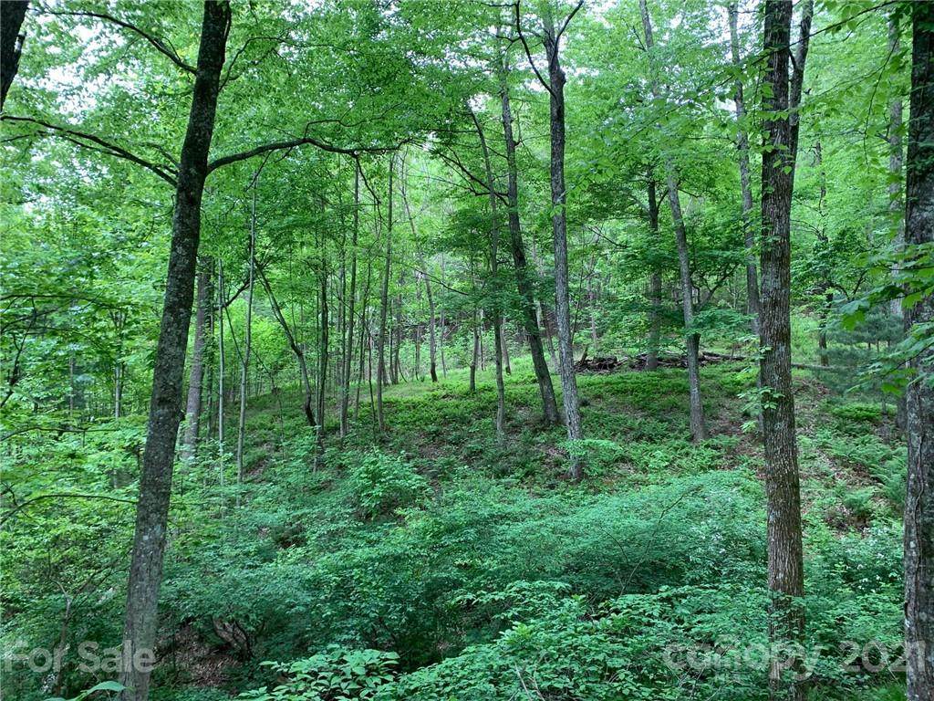 TBD Soapstone Creek Drive - Photo 1