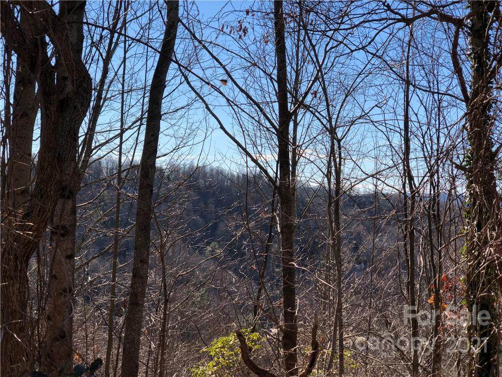 211 Bent Pine Trace - Photo 1