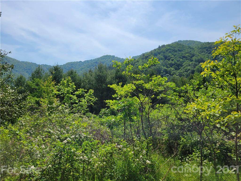 000 Cutshall Town Road - Photo 1