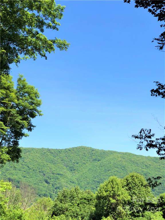 572 Slippery Rock Road - Photo 1
