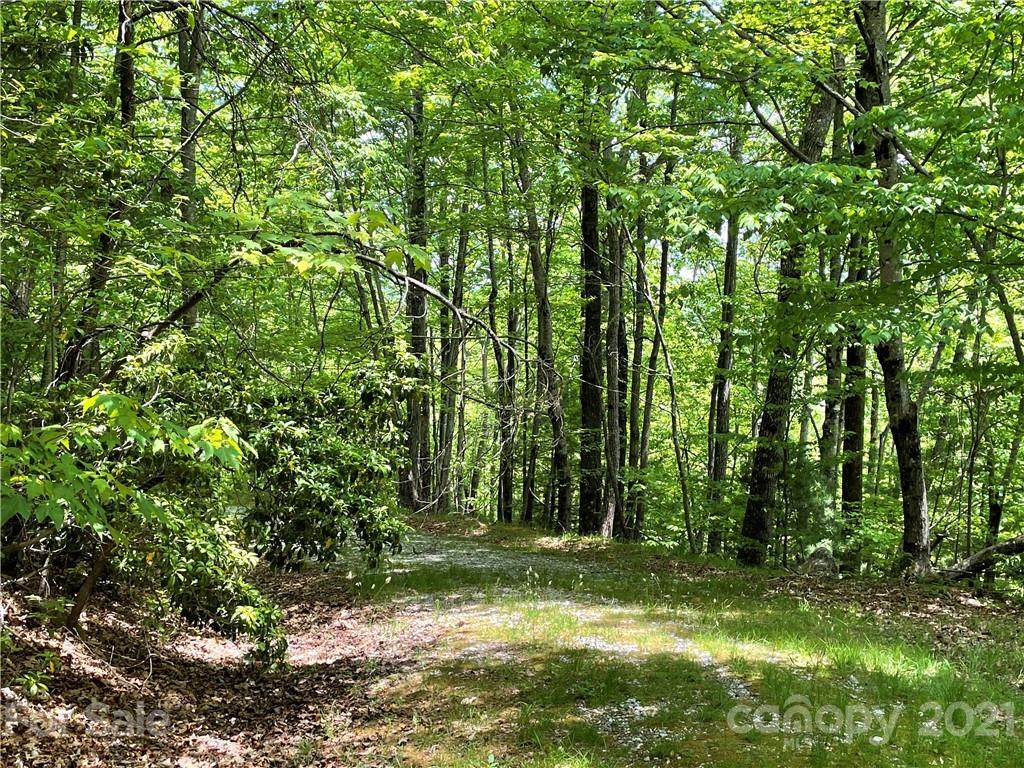 00 Raynolds Ridge - Photo 1
