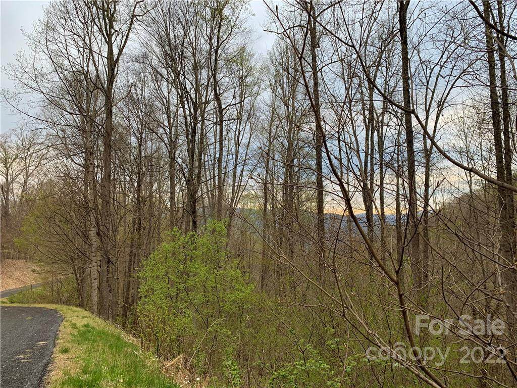 159 Dry Spring Loop - Photo 1