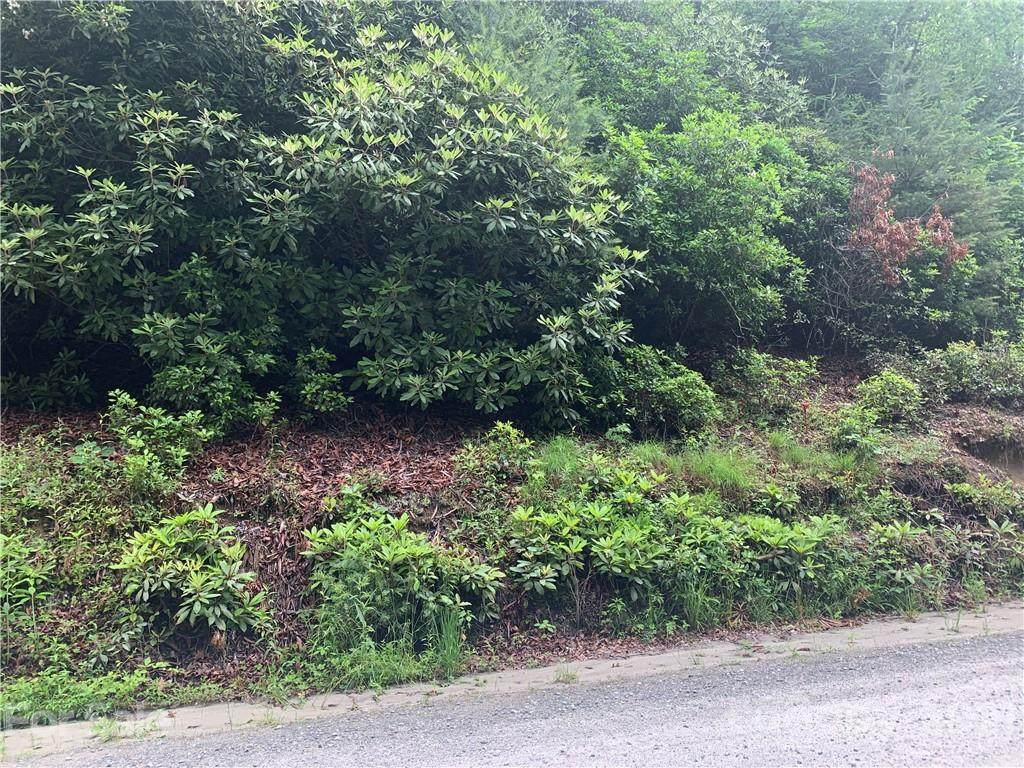 TBD Happy Acres Road - Photo 1