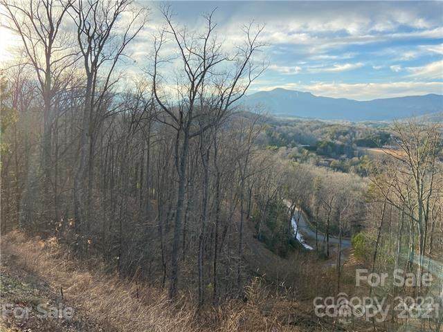 149 High Pines Loop - Photo 1