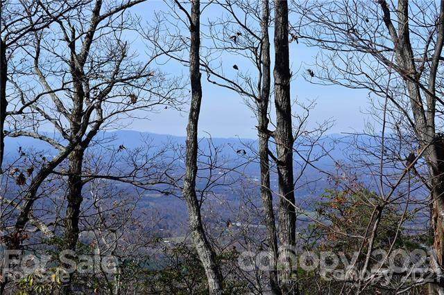7002 Burkemont Road - Photo 1