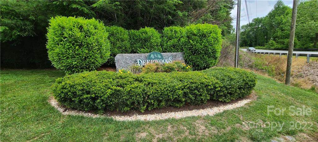 2111 Deep Woods Drive - Photo 1