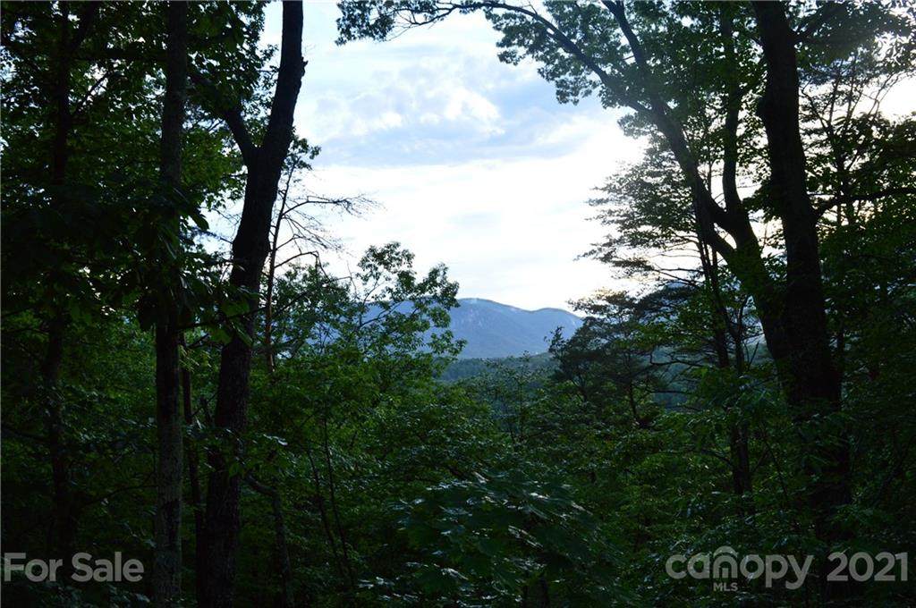 LOTS 202,203,204 Buzzards Place - Photo 1
