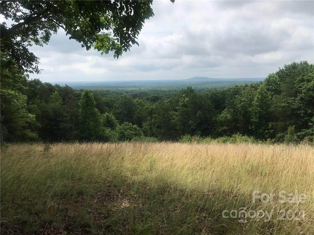 00 Old Mountain Road - Photo 1