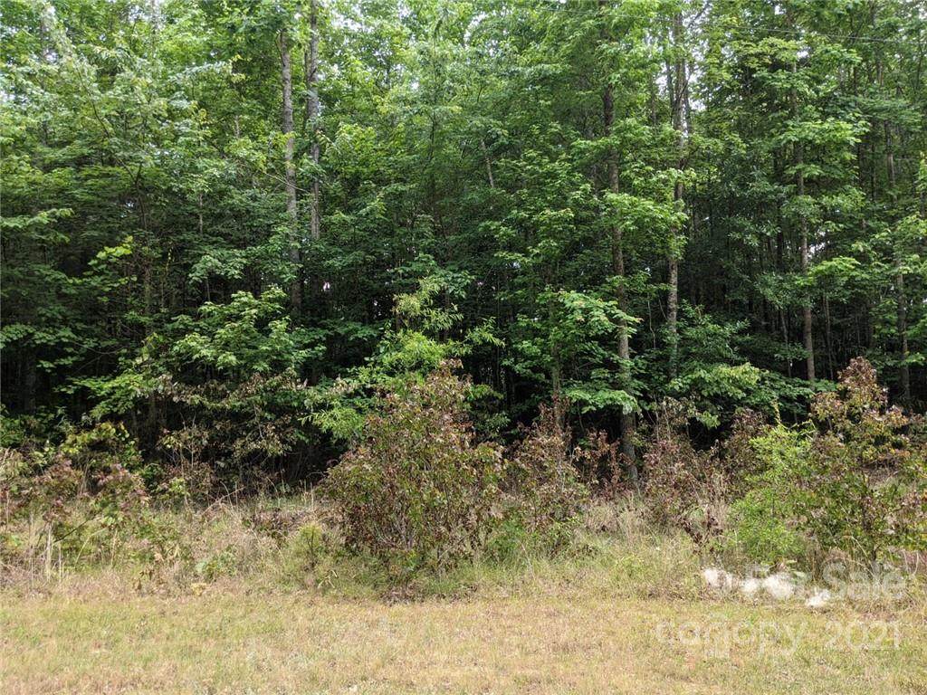 000 Meandering Lane - Photo 1