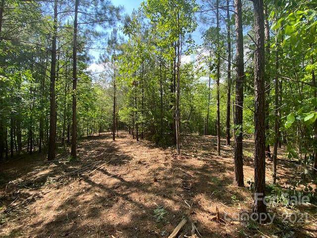 213 High Meadows Lane - Photo 1