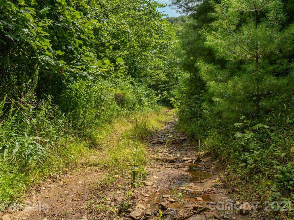 00000 Rabbit Hop Road - Photo 1