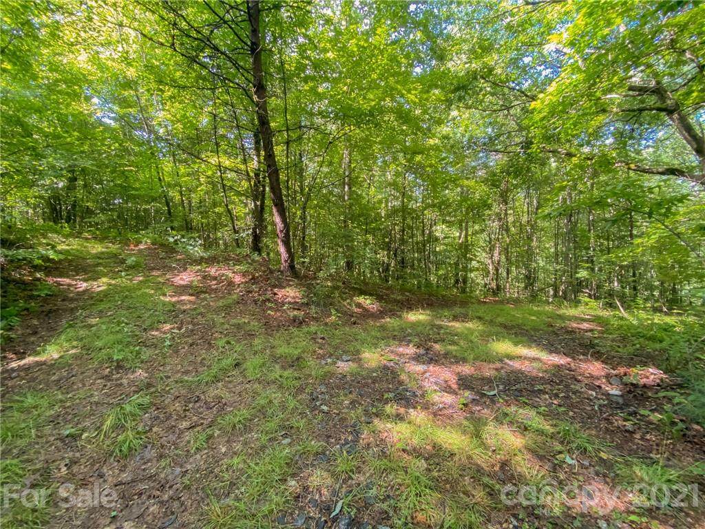 0 Canada Road - Photo 1