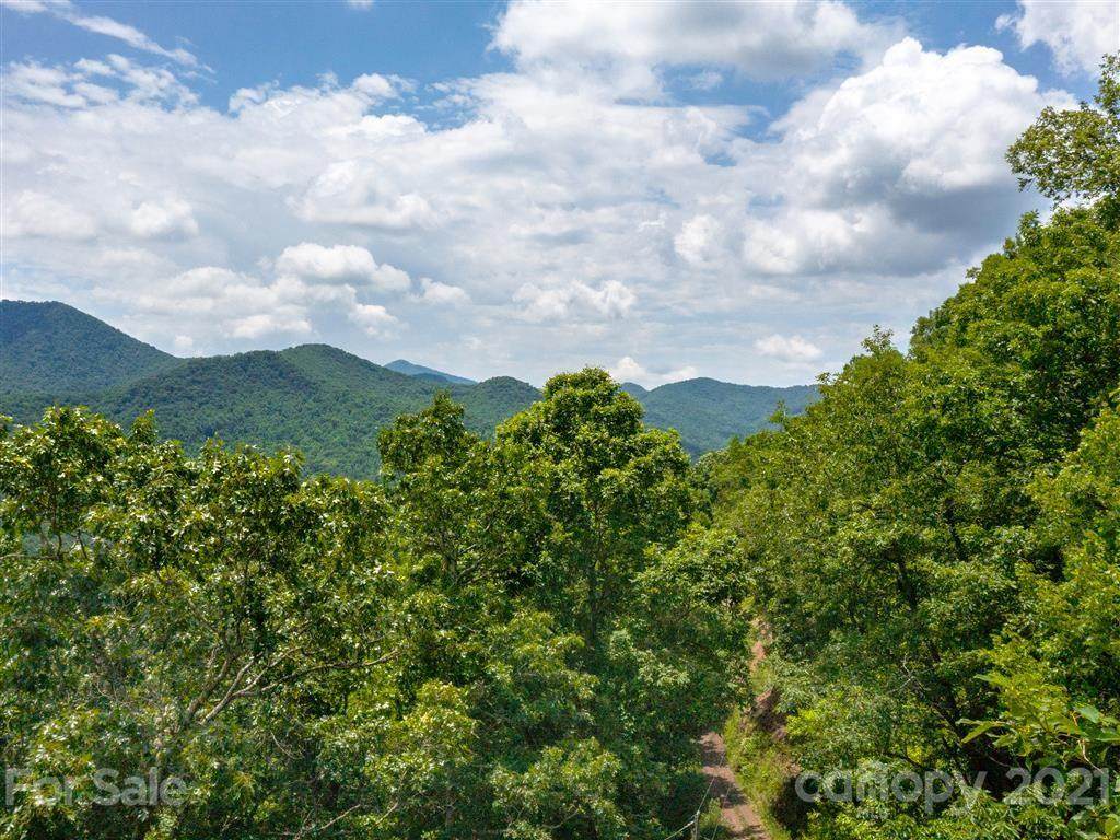 163 and 21 Long Winding Road - Photo 1