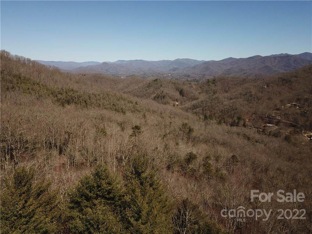 0 Andrew Davis Road - Photo 1