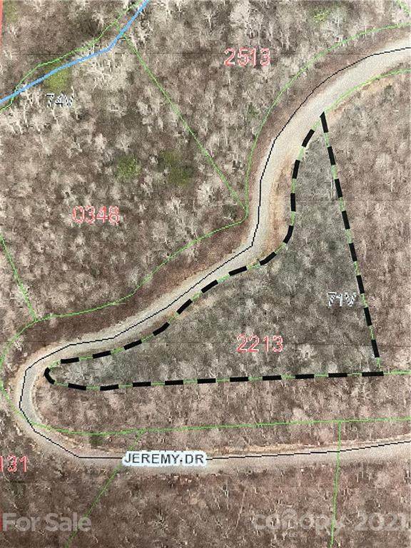 Lot 71V Brindlewood Drive - Photo 1