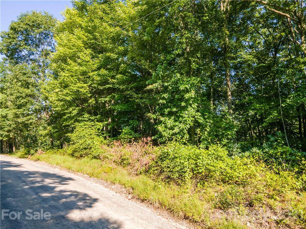 00 Plott Balsam Road - Photo 1