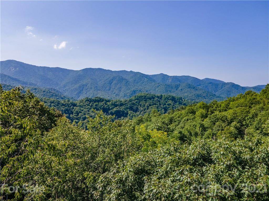 Lot 124 Cranberry Creek Road - Photo 1