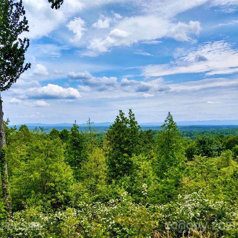 1234 Johns Ridge Parkway - Photo 1