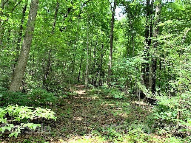 1 Buddy Lane - Photo 1