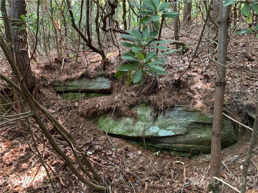 TBD 3AC Little River Campground Road - Photo 1