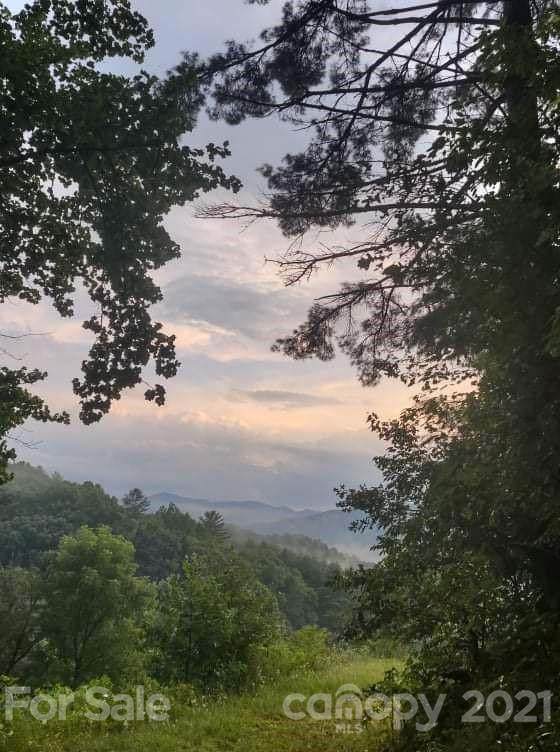 000 Gambrell Hill Road - Photo 1
