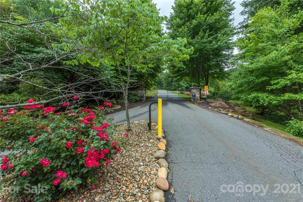 21 Carolina Buckthorn Drive - Photo 1