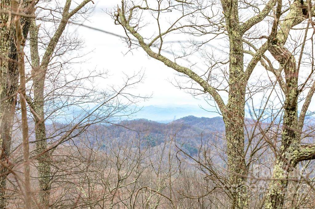 Lot 15 Ball Hooter Drive - Photo 1