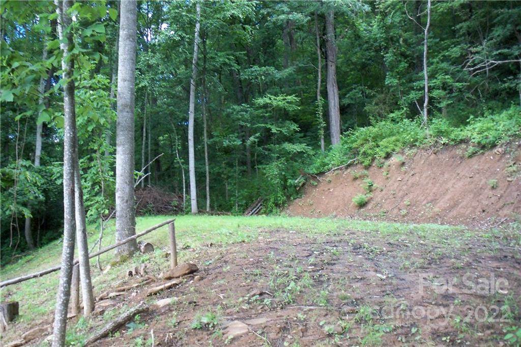 551 Tree Top Lane - Photo 1