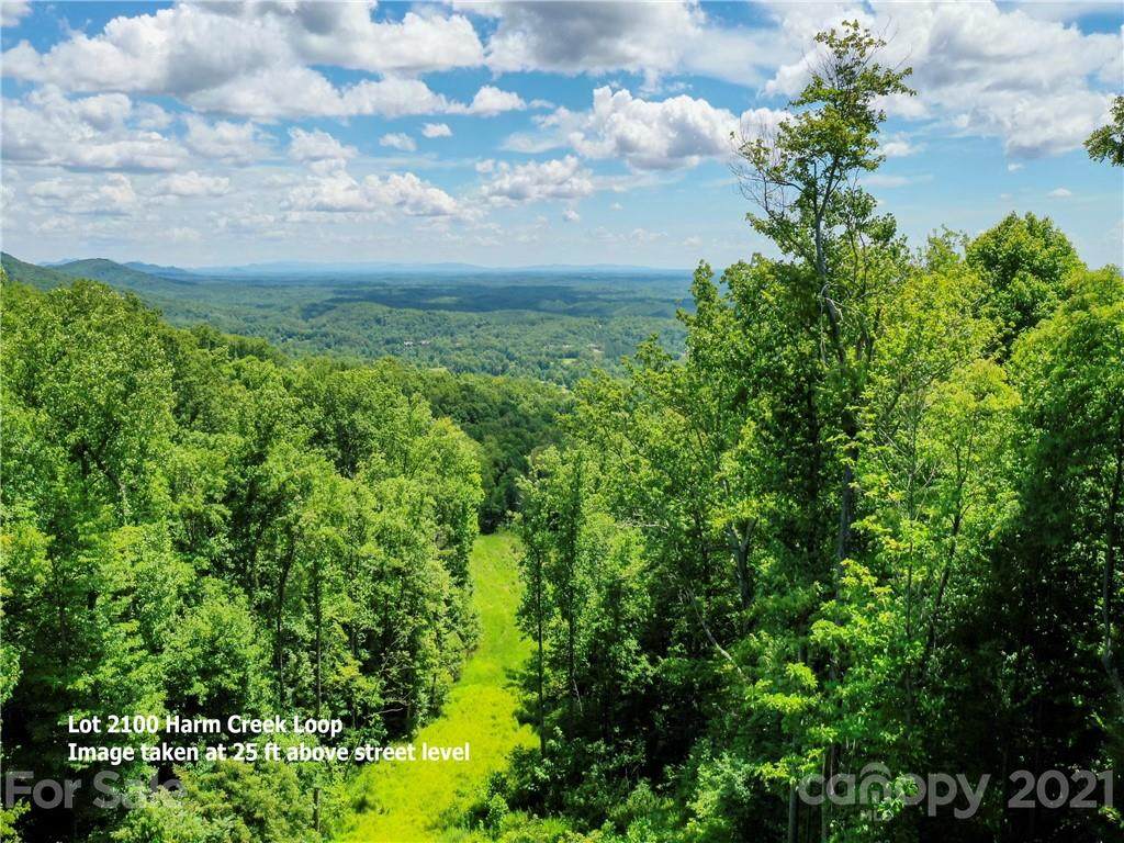 LOT 2100 Harm Creek Loop - Photo 1