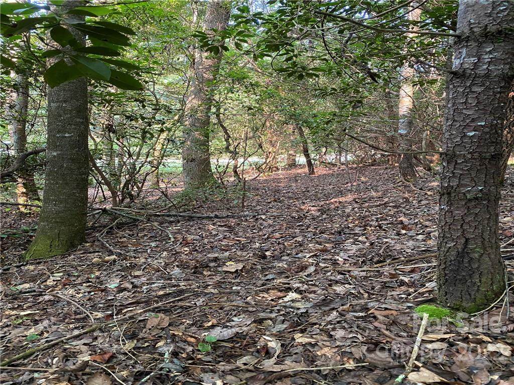U 9 Blueberry Hill Road - Photo 1