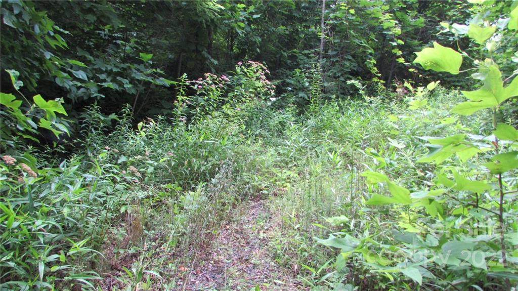 00 Mckinney Mine Road - Photo 1