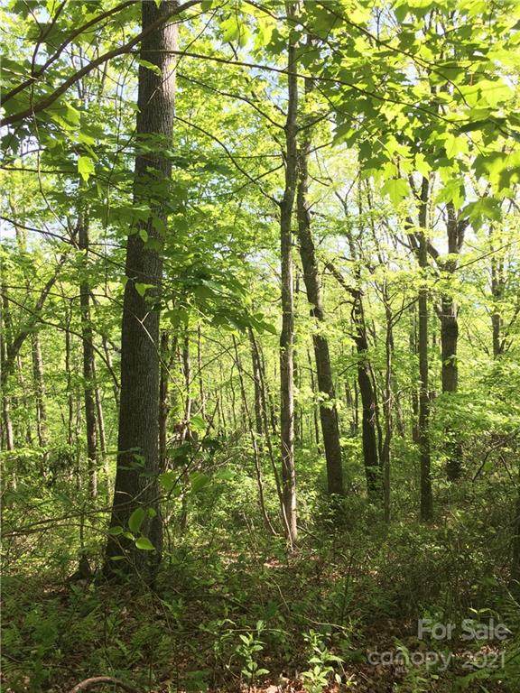 73, 74 Frank Davis Road - Photo 1