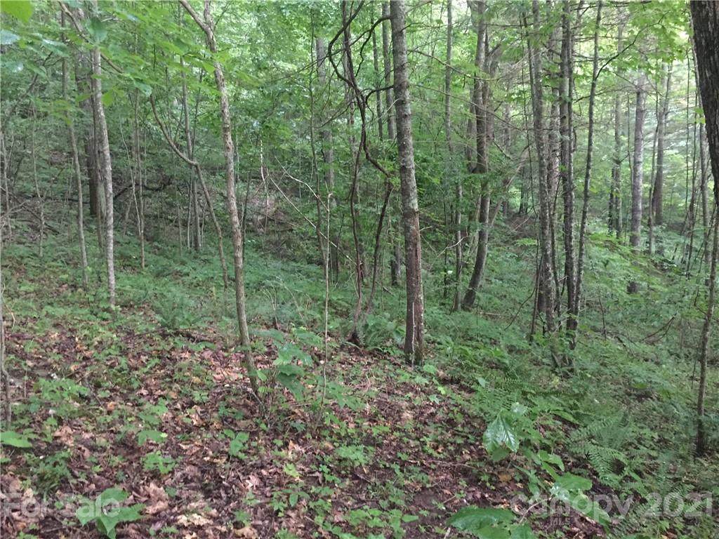 0 Ike Woods Road - Photo 1
