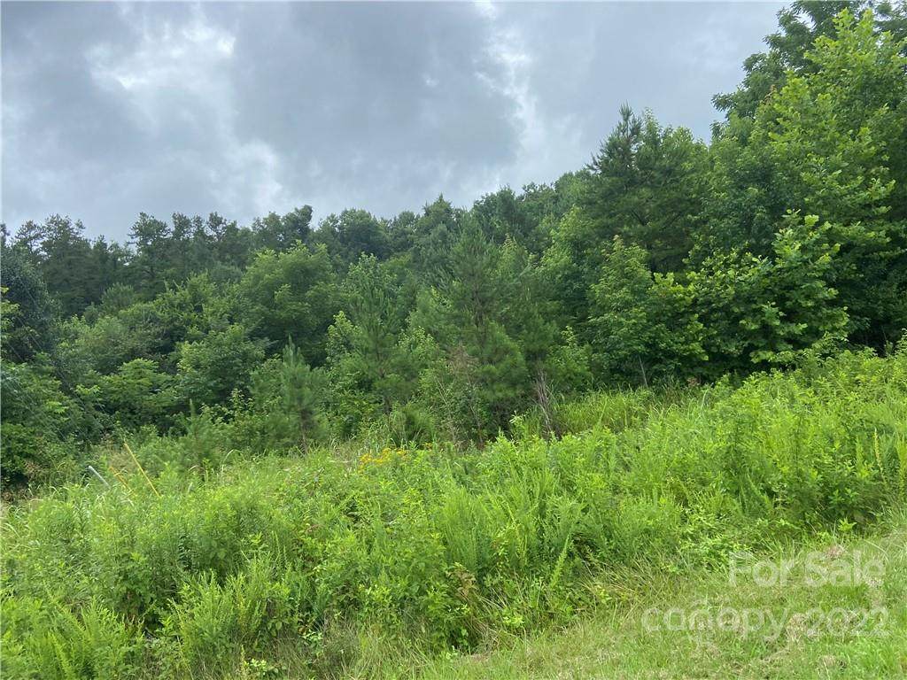 0000 Radcliff Road - Photo 1