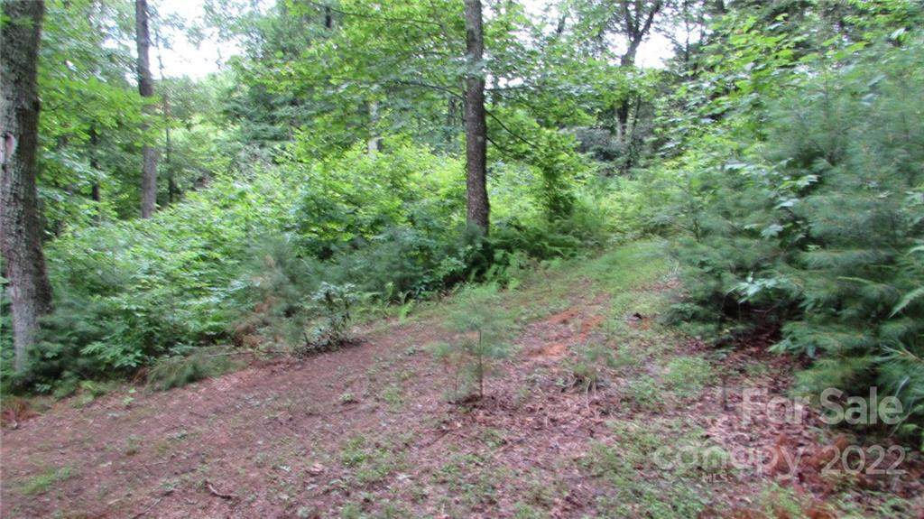 010 TBD Deer Park Lake Road - Photo 1